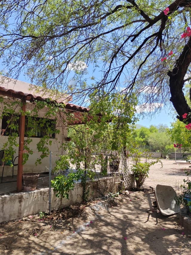 Imagen de la propiedad 2